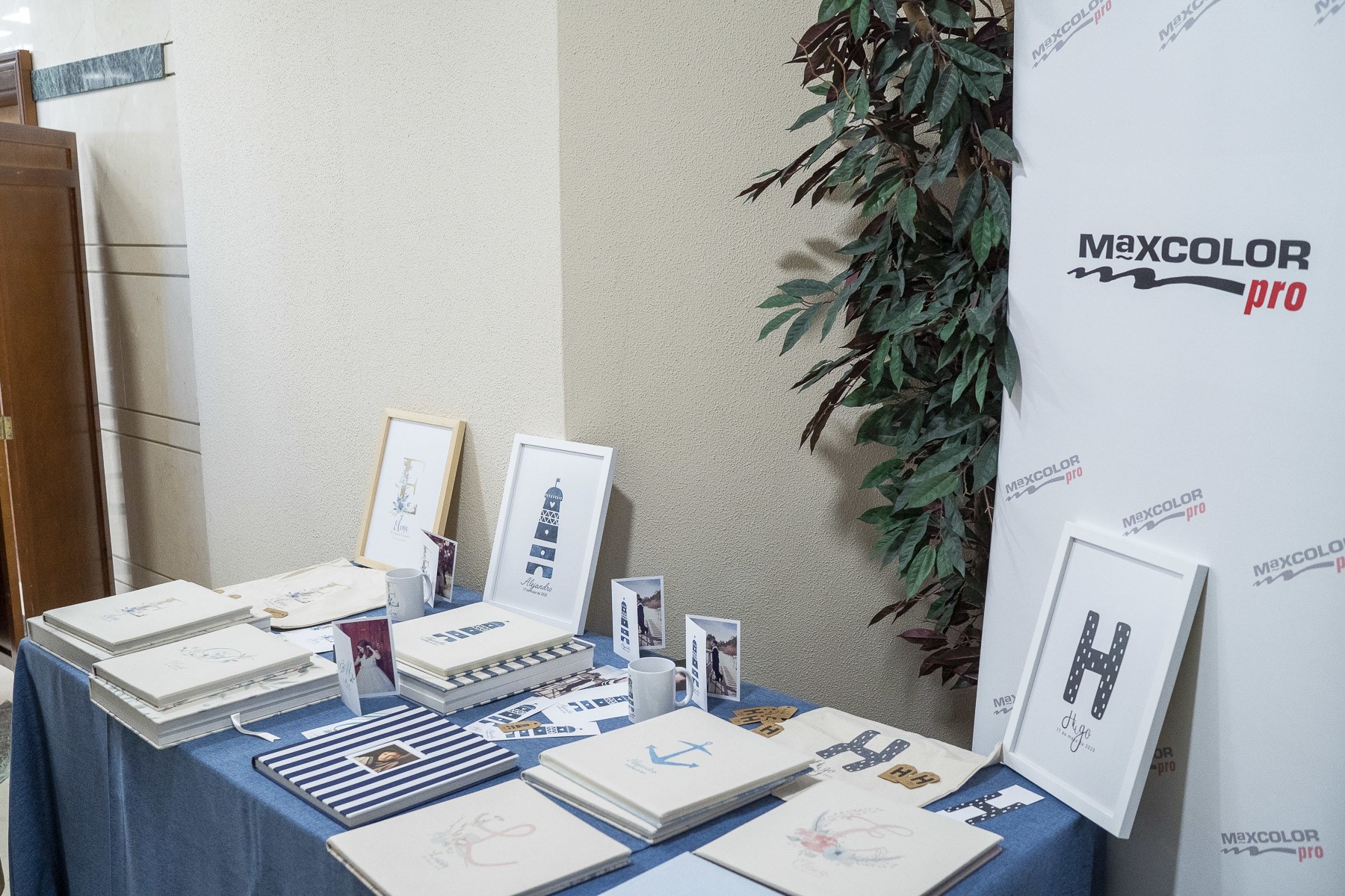 12_GSF6272-sin título-1